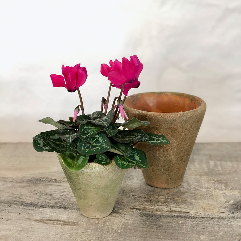 victorian indoor plant pots Aged Victorian Planter Mini