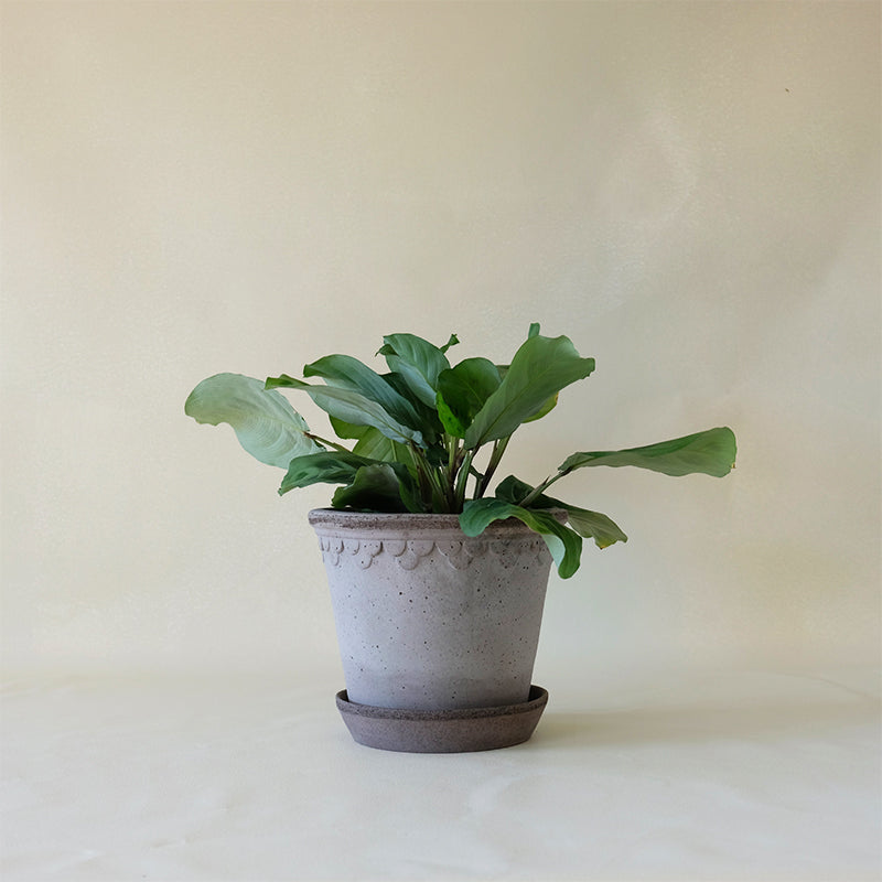 Copenhagen Planter Grey