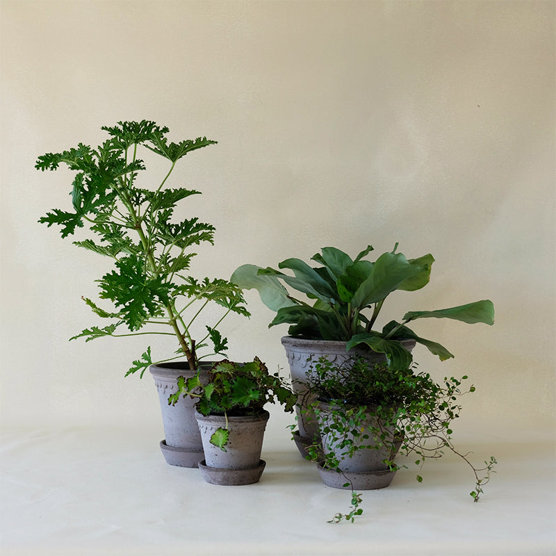 copenhagen plant pot Copenhagen Planter Grey