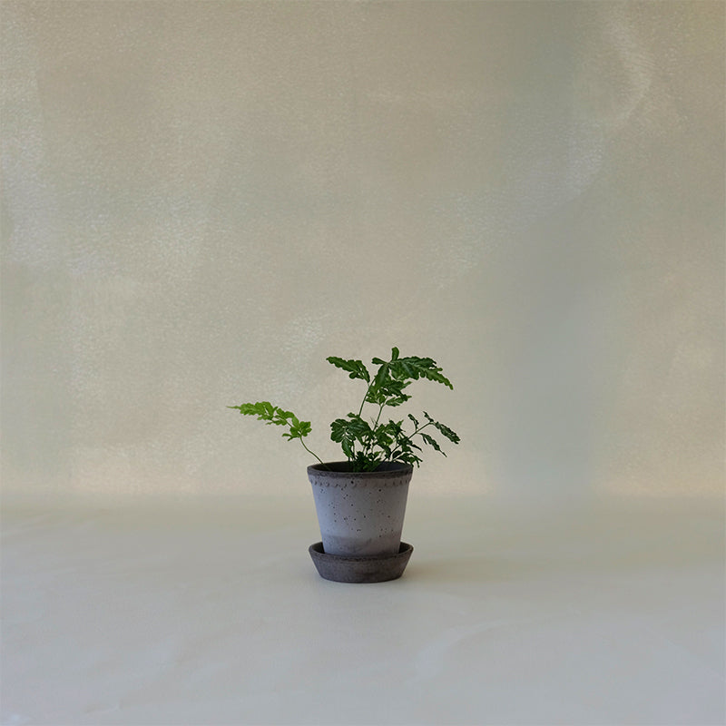 Helena Planter Grey
