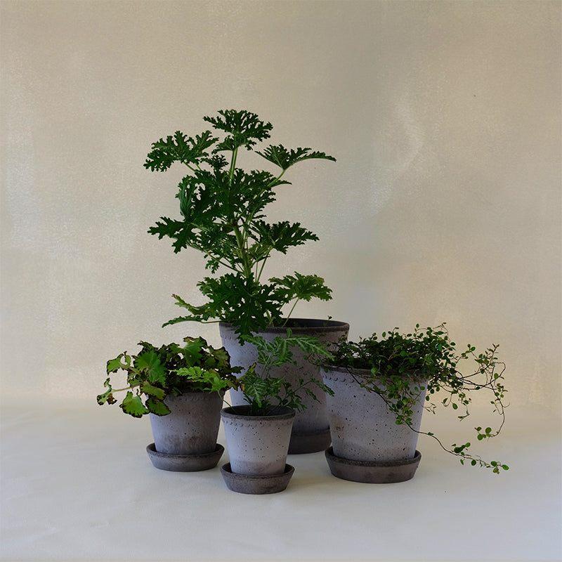 Helena Planter Grey