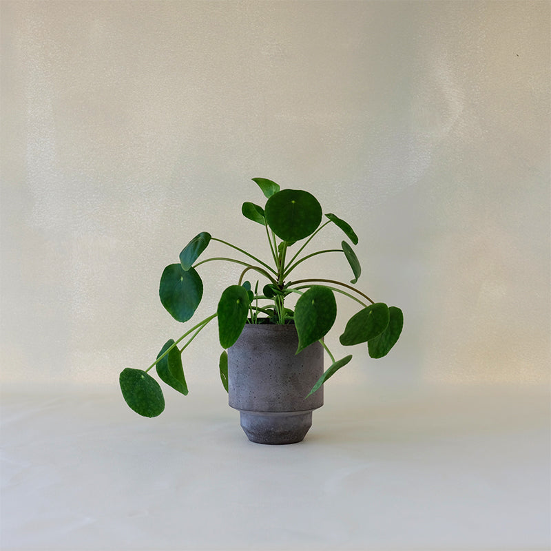 Hoff Planter Grey