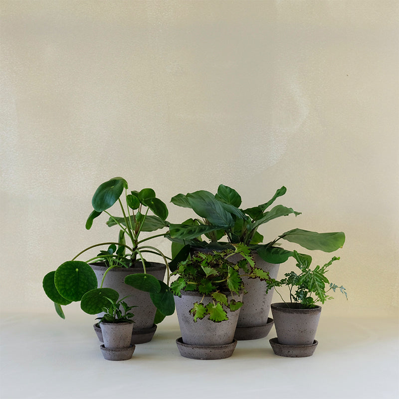 Julie Planter Grey