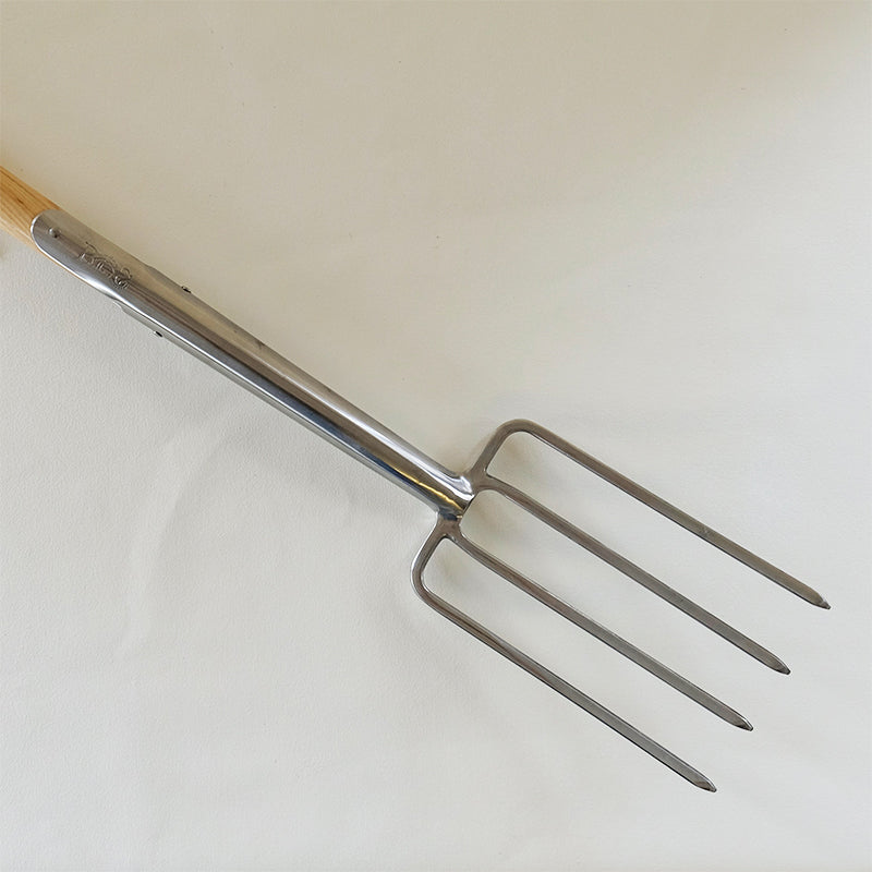 Border Fork
