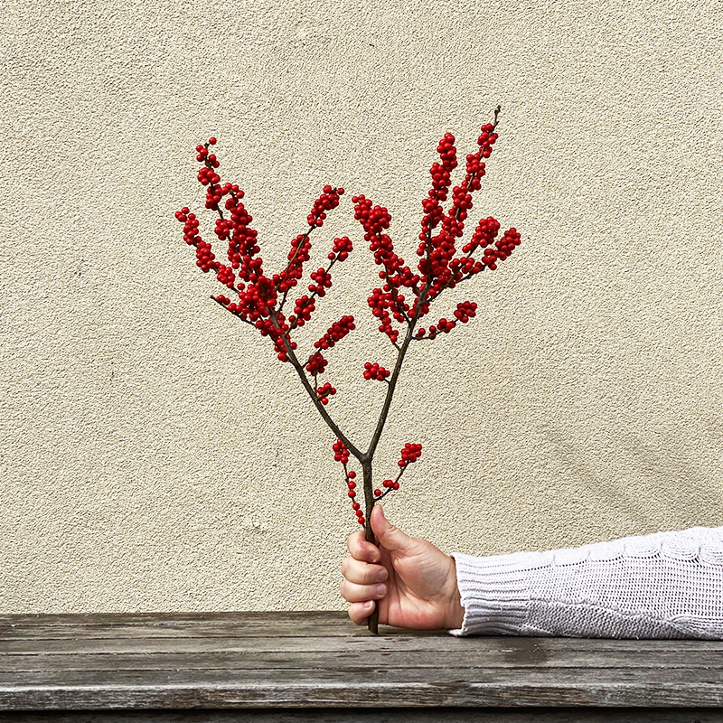 Winterberry Stem