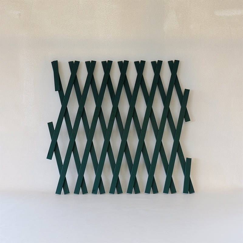 Expandable Green Trellis