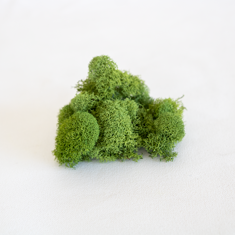 Reindeer Moss Basil 8oz