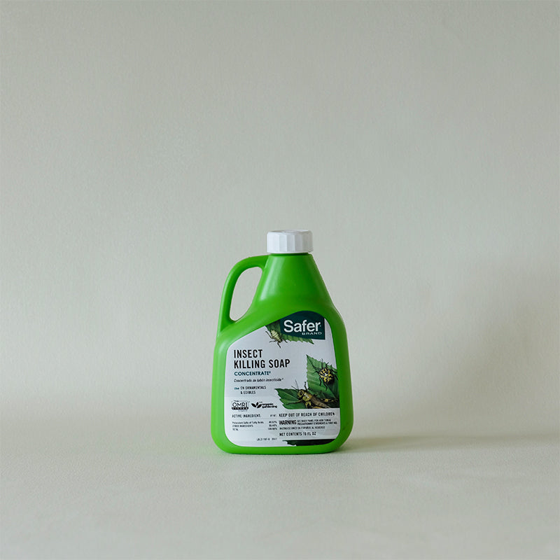 insecticidal soap for grasshoppers Insecticidal Soap 16oz Concentrate