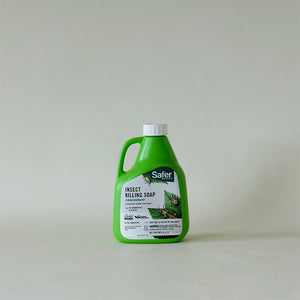 insecticidal soap menards Insecticidal Soap 16oz Concentrate