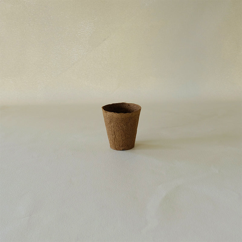 Spruce Fiber Pot 3"