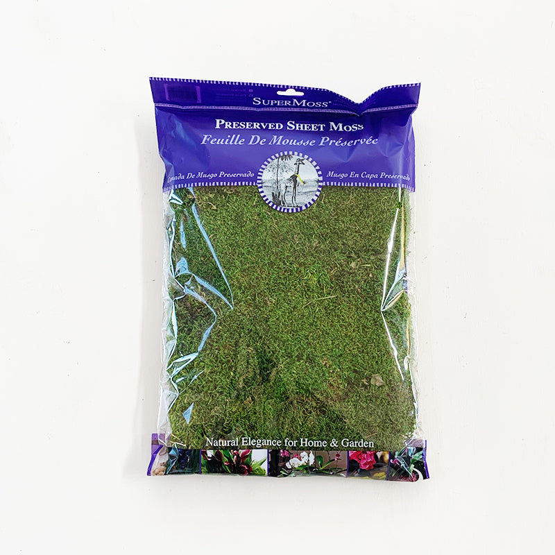 sheet moss for potted plants Sheet Moss 8oz