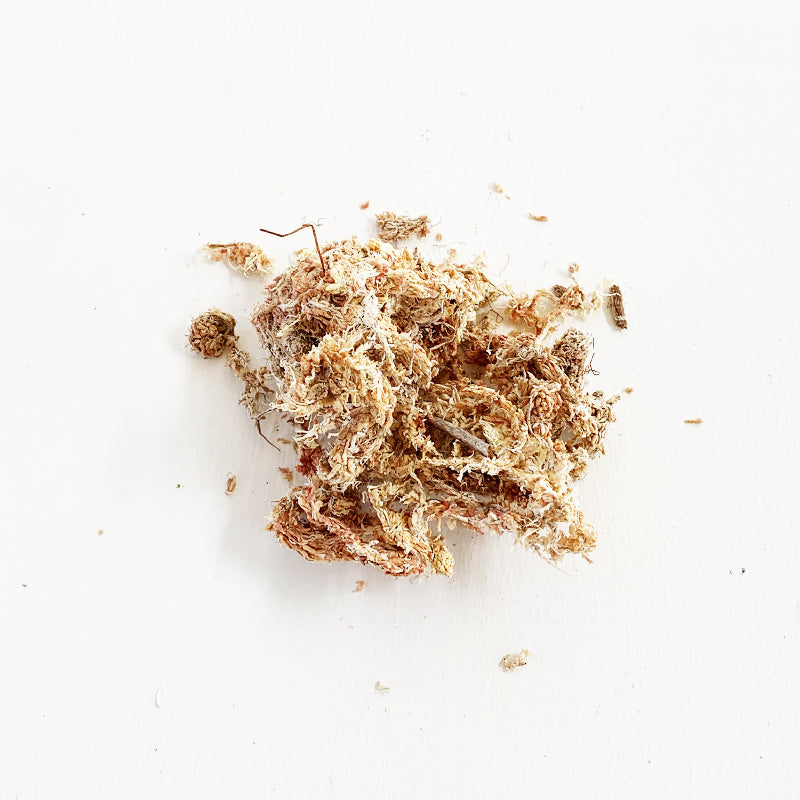 Sphagnum Moss 8oz