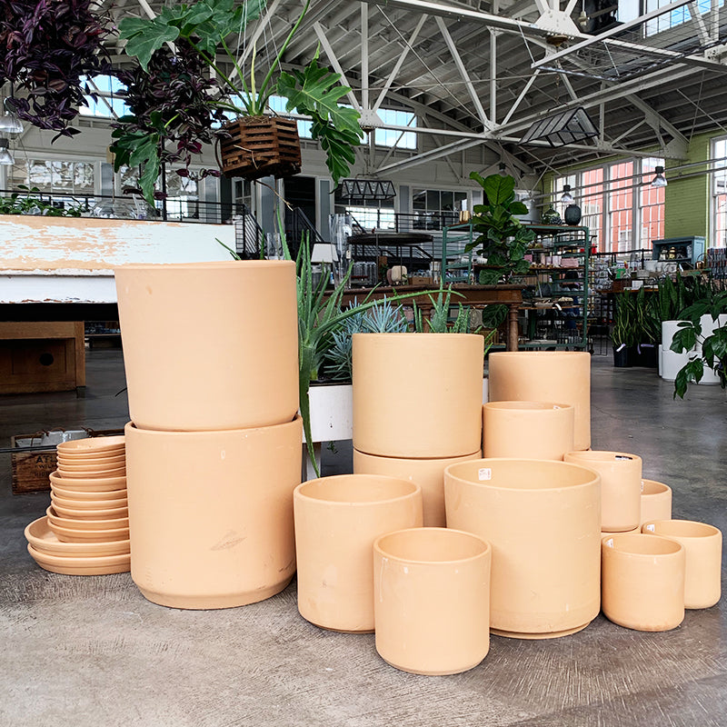 best place to buy clay pots for plants Deep Cylinder Planter Buff Clay